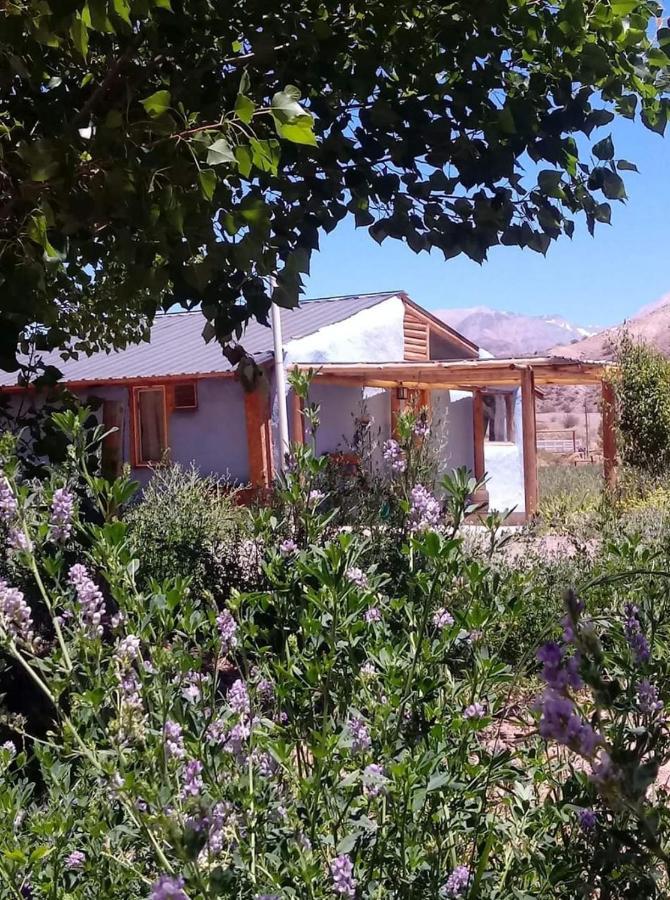 Valle Del Cielo Uspallata Εξωτερικό φωτογραφία