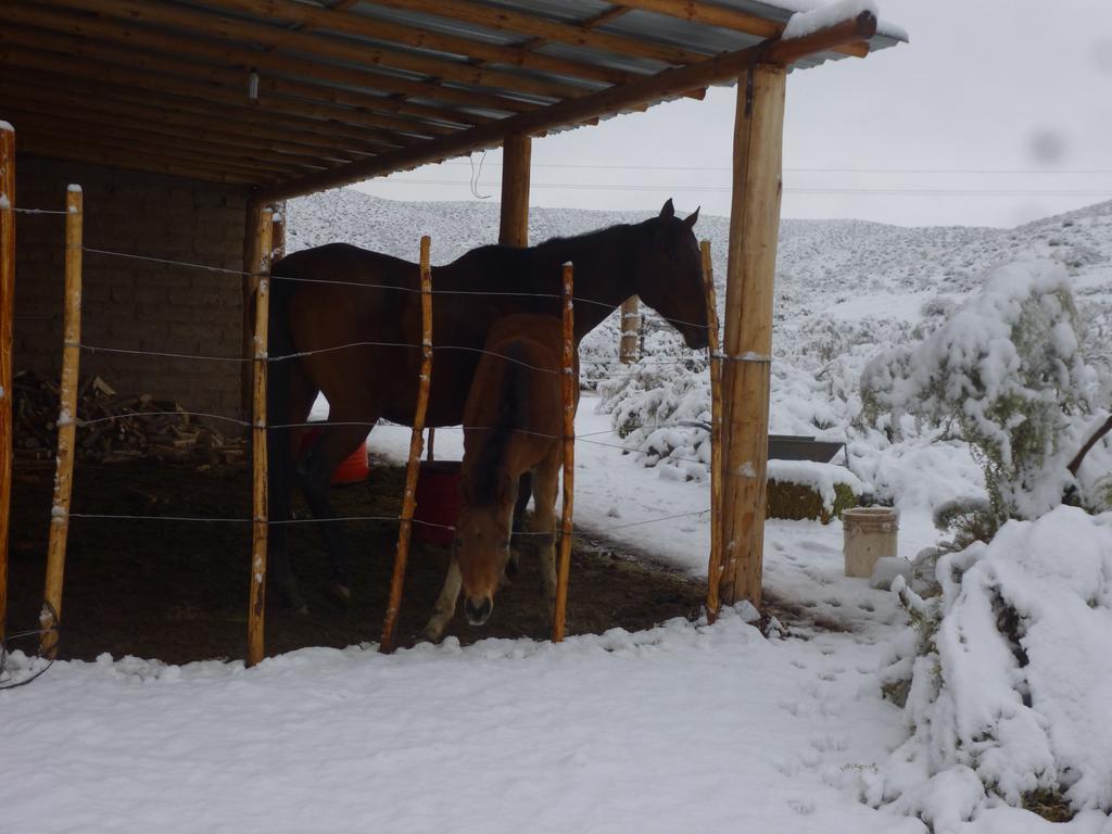 Valle Del Cielo Uspallata Εξωτερικό φωτογραφία